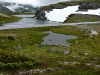 Aurlandsfjellet