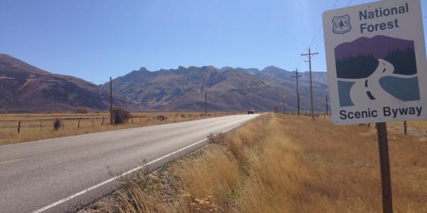 Lamoille Canyon Road