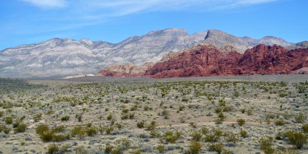 Red Rock Canyon Back Country Byway
