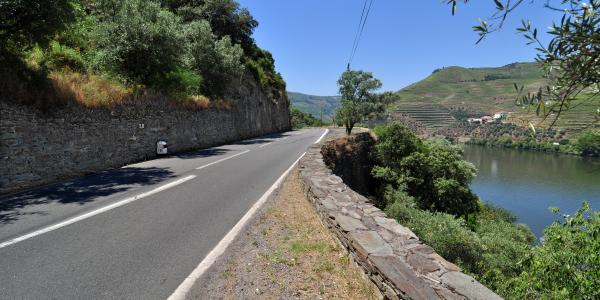 N222 Douro