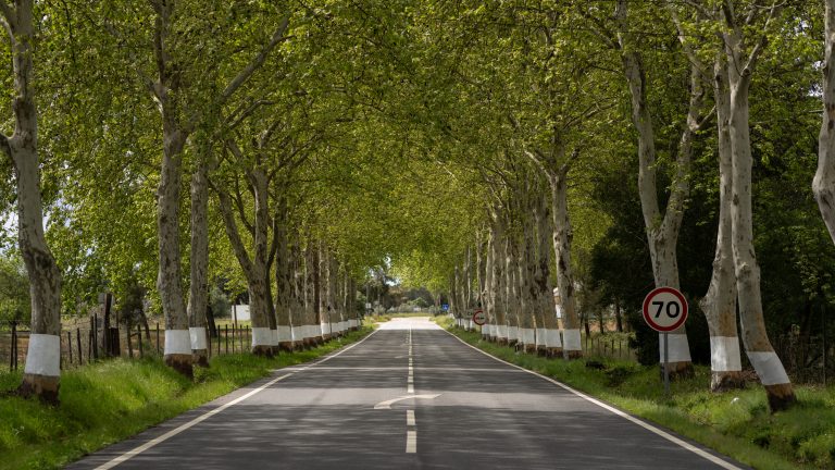 Estrada Nacional 2 (N2)