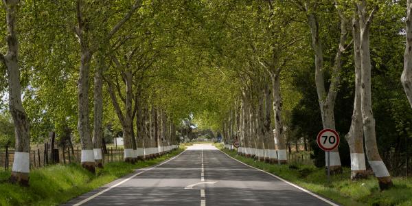 Estrada Nacional 2 (N2)