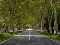 Estrada Nacional 2 (N2)