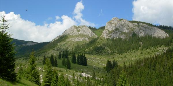 Transapuseana (DJ107I)