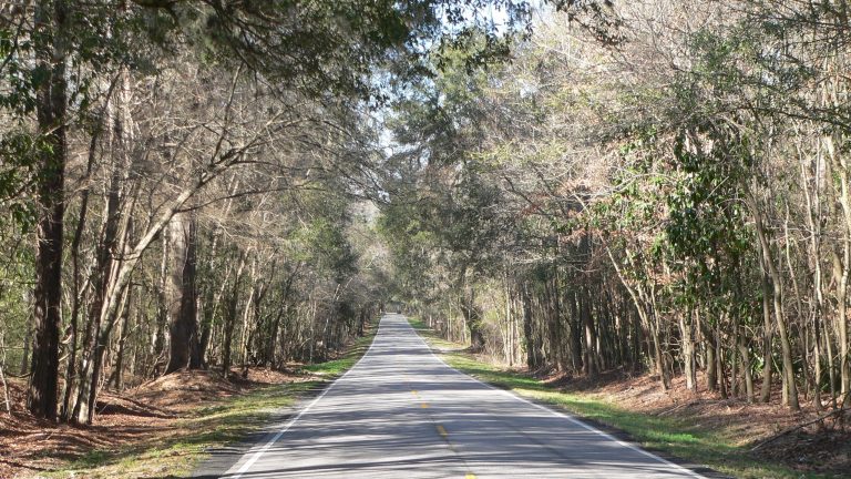 Ashley River Road