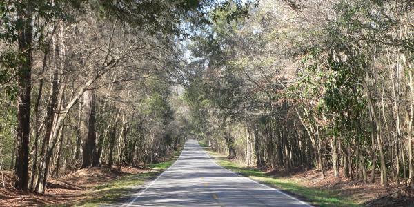 Ashley River Road