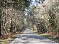 Ashley River Road