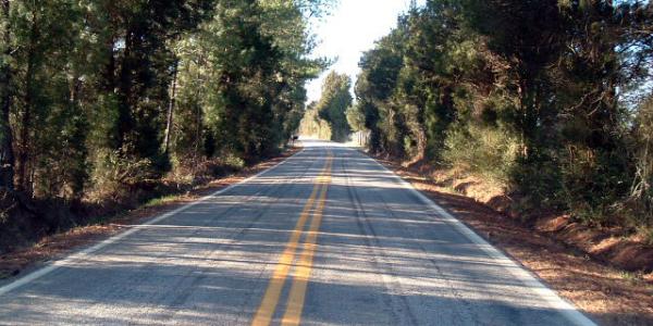 Savannah River Scenic Byway