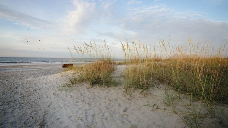 Hilton Head Island Scenic Byway