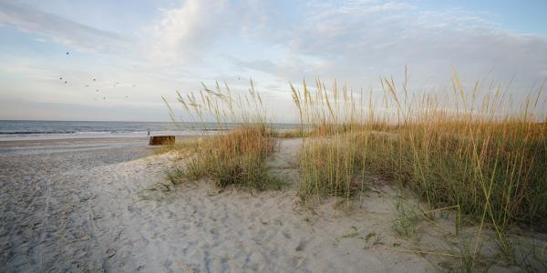 Hilton Head Island Scenic Byway