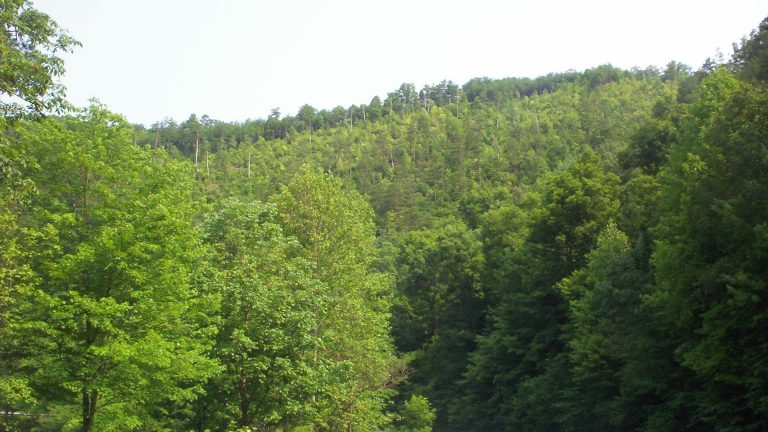 Cherohala Skyway