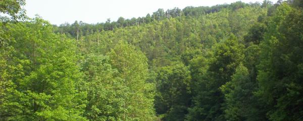 Cherohala Skyway