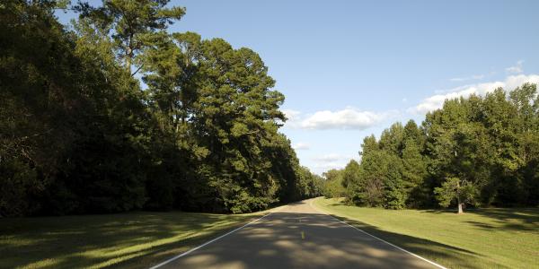 Natchez Trace Parkway