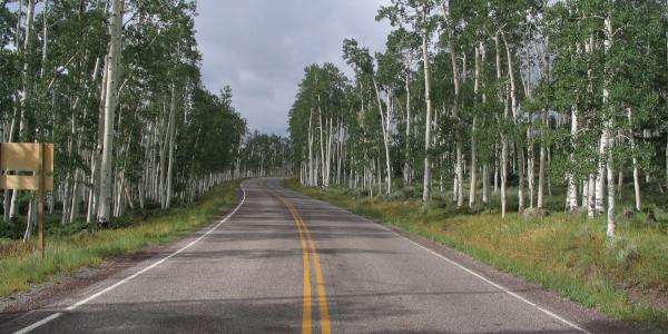 Fish Lake Scenic Byway
