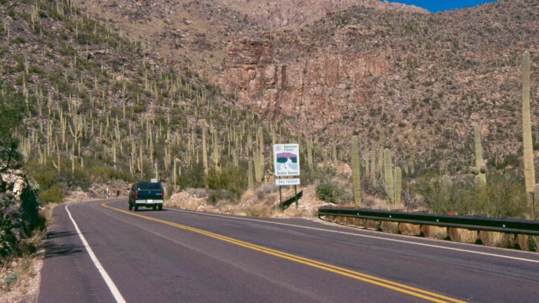 Sky Island Scenic Byway