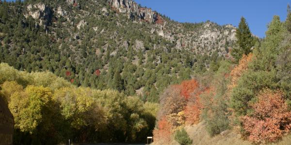 Logan Canyon Scenic Byway