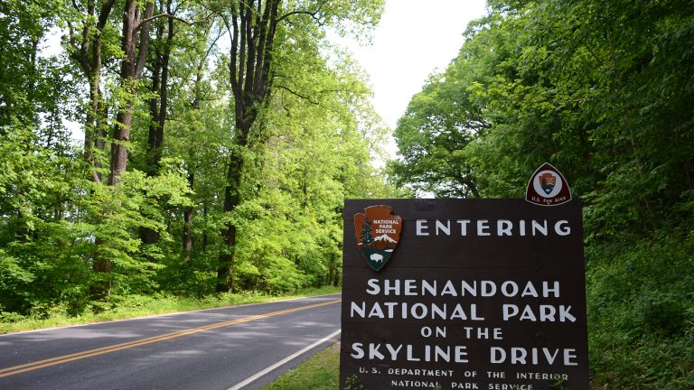 Skyline Drive