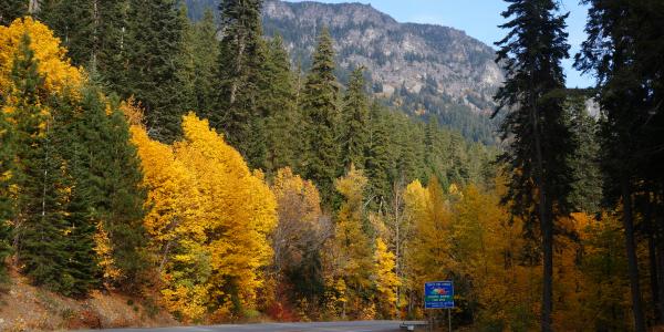 Stevens Pass Greenway