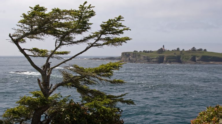 Cape Flattery Tribal Scenic Byway