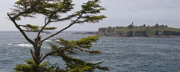 Cape Flattery Tribal Scenic Byway