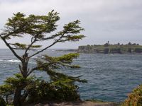 Cape Flattery Tribal Scenic Byway
