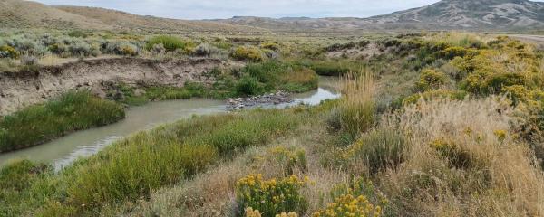 Muddy Creek Historic Backway
