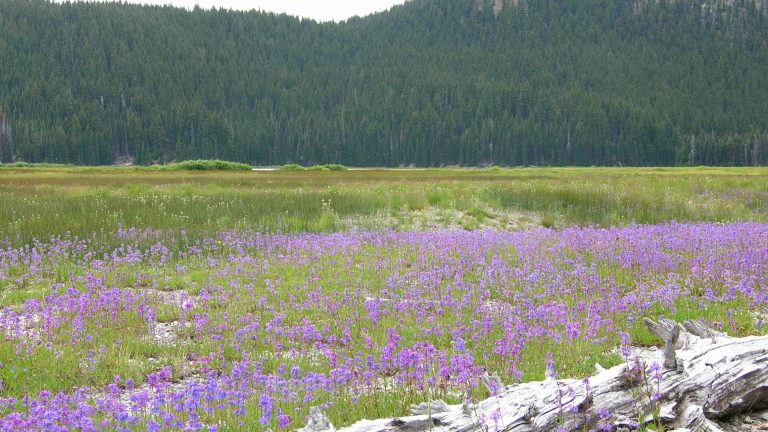 Cascade Lakes Highway