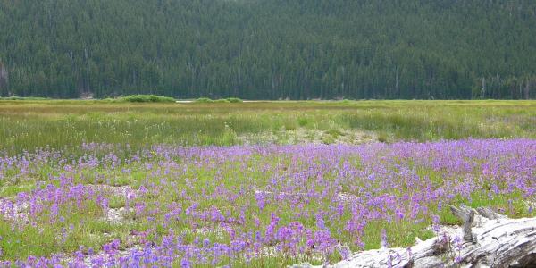 Cascade Lakes Highway