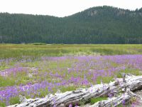 Cascade Lakes Highway