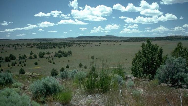 Oregon Outback Scenic Byway