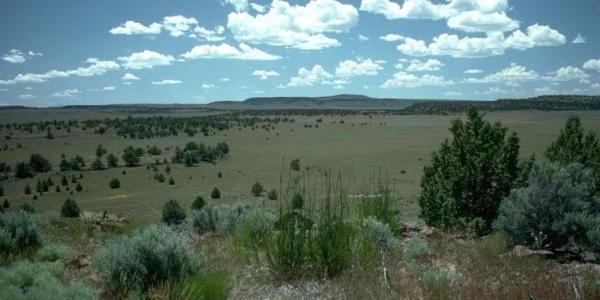 Oregon Outback Scenic Byway