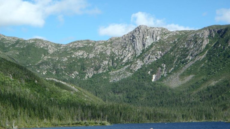 Gaspésie Tour