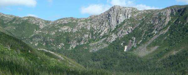 Gaspésie Tour