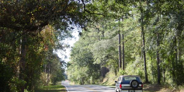 Big Bend Scenic Byway