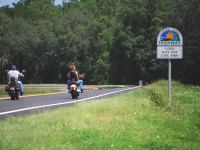 Florida Black Bear Road