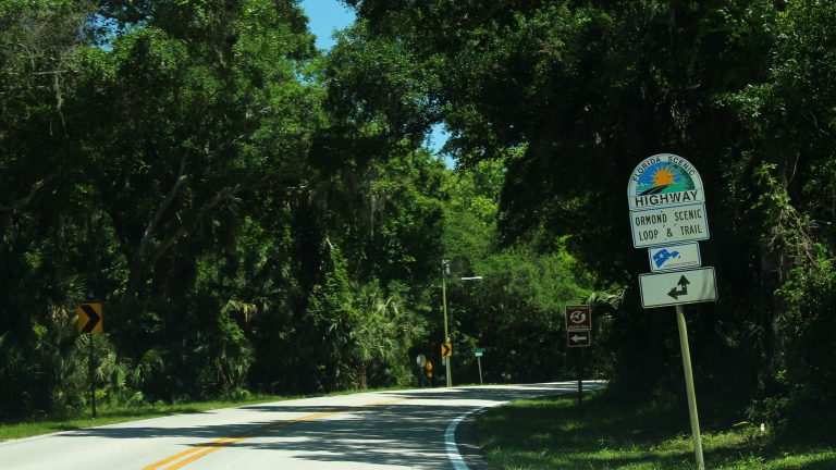 Ormond Loop And Trail