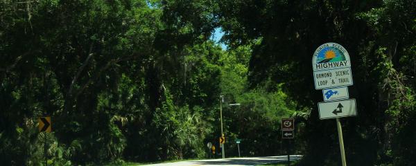 Ormond Loop And Trail