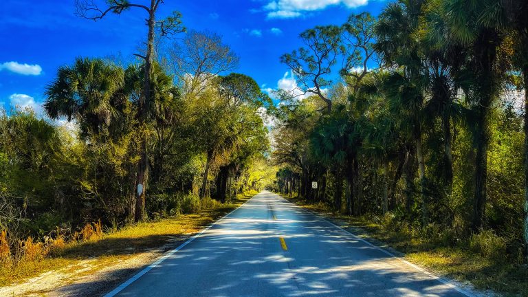 Martin Grade Highway