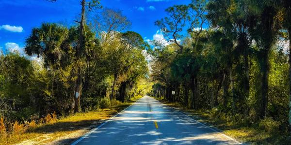 Martin Grade Highway
