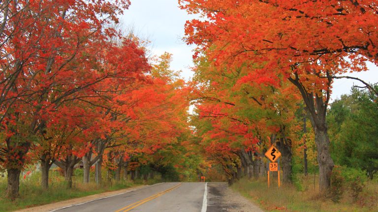 Michigan Highway 22 (M-22)