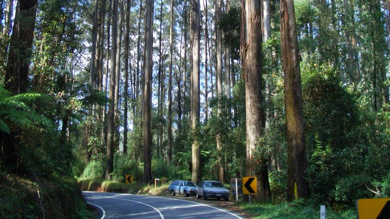 Black Spur Drive