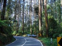 Black Spur Drive