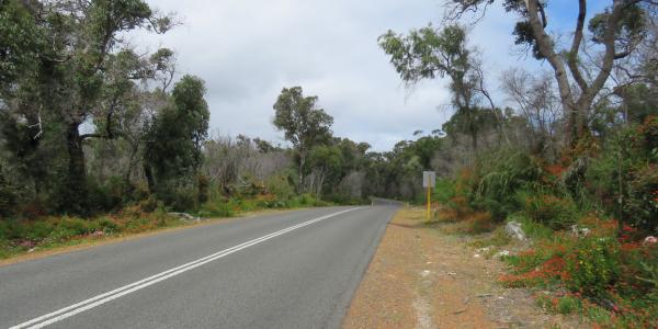 Caves Road