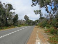Caves Road