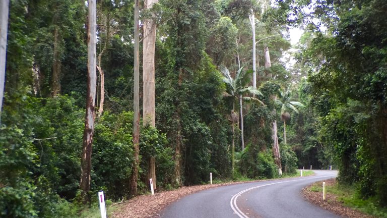 Mount Glorious Road