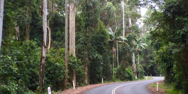Mount Glorious Road