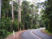 Mount Glorious Road