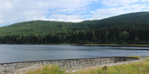 Souš Reservoir (Route 290)