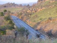 Long Tom Pass (R37)