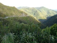 Remutaka Pass (SH2)